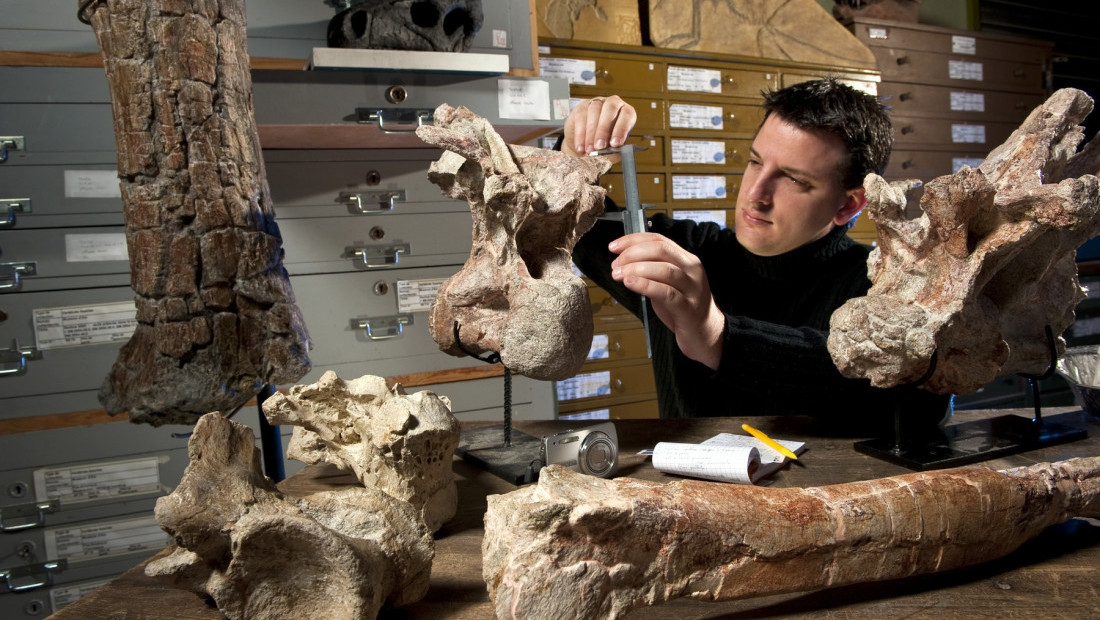 Prva kost dinosaurusa sa Antarktika pronađena u fioci posle 40 godina
