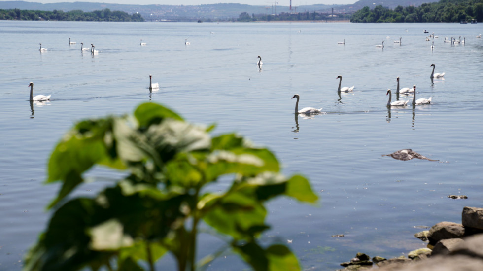 U Srbiji se obeležava Međunarodni dan reke Dunav "Ujedinjeni Dunavom - igraj za vodu"