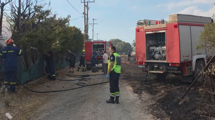 Lokalizovan požar kod Nea Kalikratije, vatra uništila dva objekta