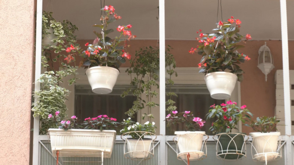 Uređujete balkon ili dvorište? Počele prijave za akciju "Za zeleniji Beograd“