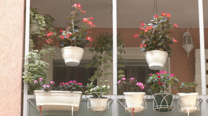 Uređujete balkon ili dvorište? Počele prijave za akciju "Za zeleniji Beograd“