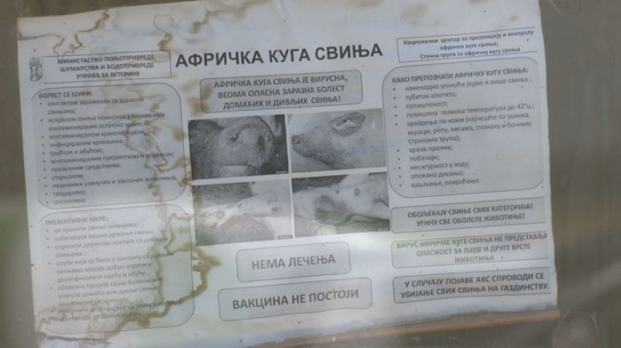 Tihi ubica stočnog fonda: Zašto Hrtkovci nisu smeli da se dogode?