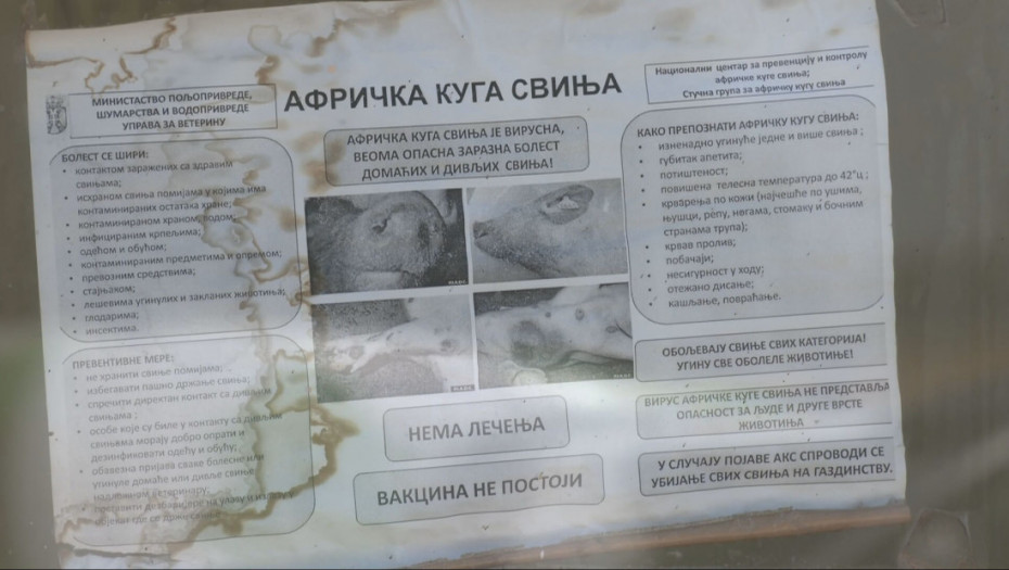 Tihi ubica stočnog fonda: Zašto Hrtkovci nisu smeli da se dogode?