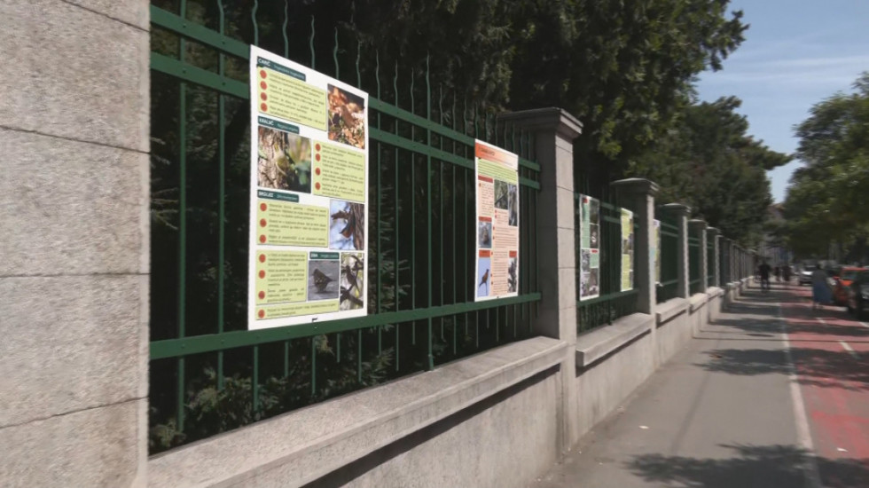 Više od biljaka: Kakav životinjski svet krije Botanička bašta "Jevremovac" (VIDEO)