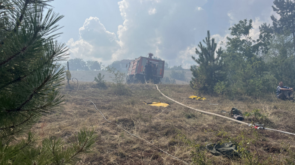 Šumski požar u selu Gornja Gorevnica kod Čačka, gori površina od 10 hektara