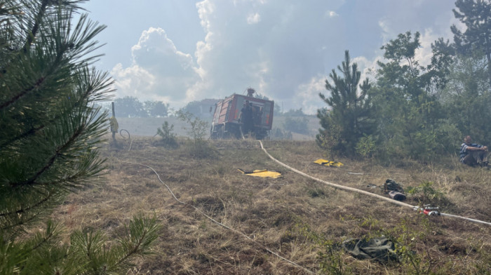 Šumski požar u selu Gornja Gorevnica kod Čačka, gori površina od 10 hektara