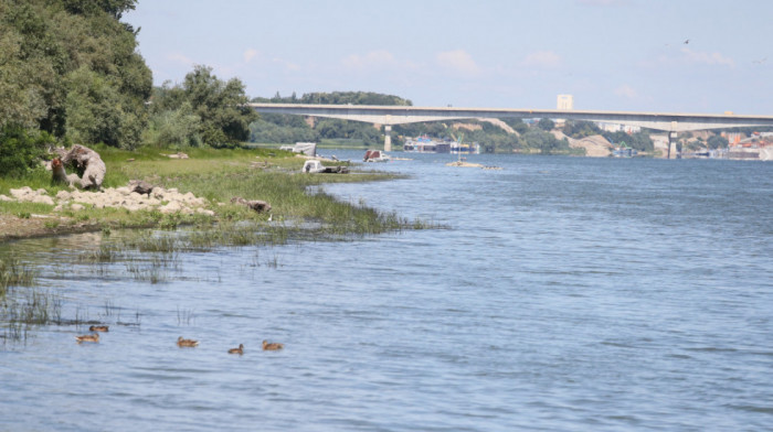 Zdravković upozorava: Dunav na istorijskom minimumu, brodovi ne dolaze u Beograd – moguće restrikcije