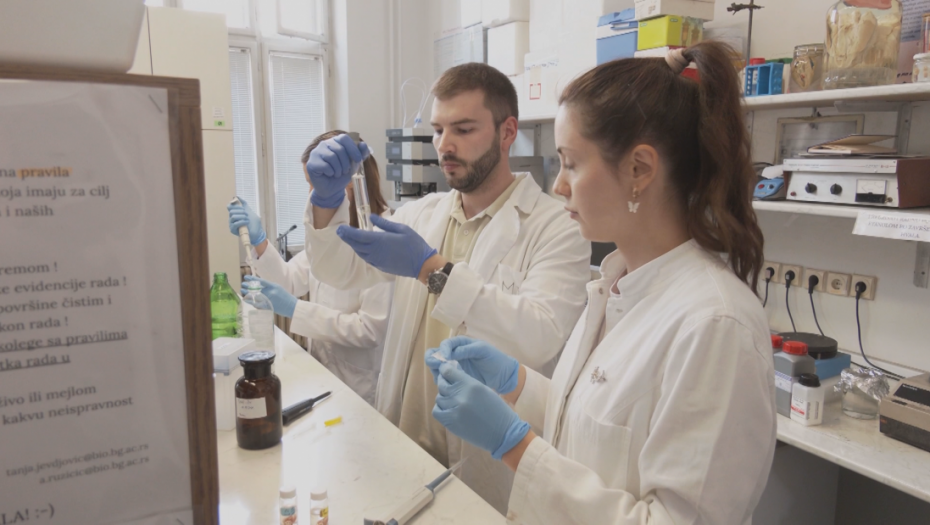 Od laboratorije do klinike: Kako srpski naučnici istražuju nove terapije za bolesti mozga?