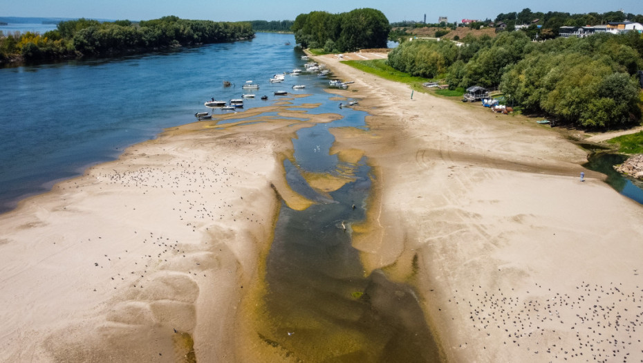 Neverovatne scene na Dunavu: Nasukani čamci i konjske zaprege na sred korita inače moćne reke