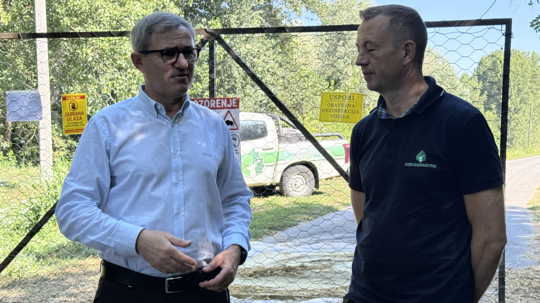 Glamočić: Virus afričke kuge prisutan u osam okruga, zaraženo oko 830 gazdinstava