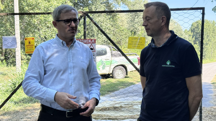 Glamočić: Virus afričke kuge prisutan u osam okruga, zaraženo oko 830 gazdinstava