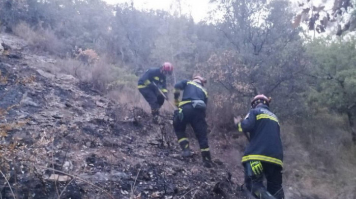 Srpski vatrogasci pomažu u gašenju požara u Francuskoj: Dačić pohvalio njihovu hrabrost i profesionalnost (VIDEO, FOTO)
