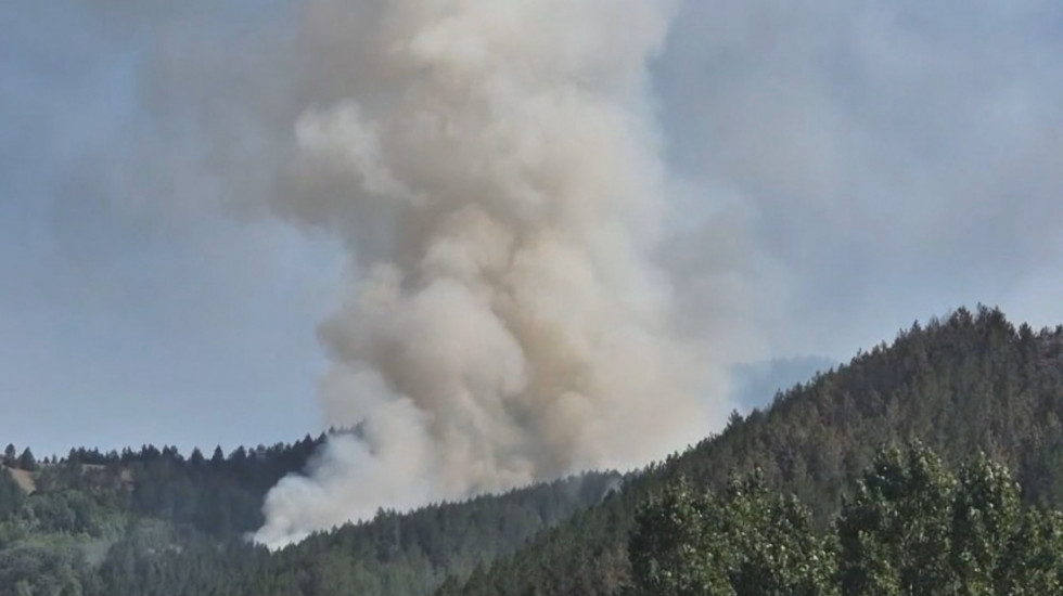 Vatra se proširila na četinare: Ibarska klisura u plamenu, gašenje otežano zbog vetra i nepristupačnog terena