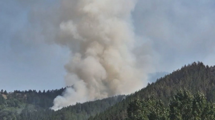 Vatra se proširila na četinare: Ibarska klisura u plamenu, gašenje otežano zbog vetra i nepristupačnog terena