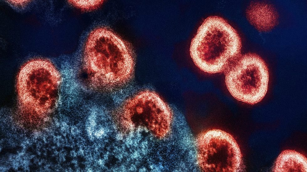 AI dizajnirala viruse koji ubijaju bakterije: Rešenje za rastuću otpornost na antibiotike ili novi rizik za čovečanstvo?