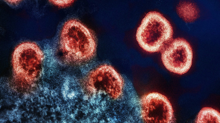AI dizajnirala viruse koji ubijaju bakterije: Rešenje za rastuću otpornost na antibiotike ili novi rizik za čovečanstvo?