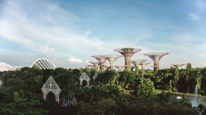Singapur planira da posadi milion stabala drveća, u borbi protiv toplotnih talasa