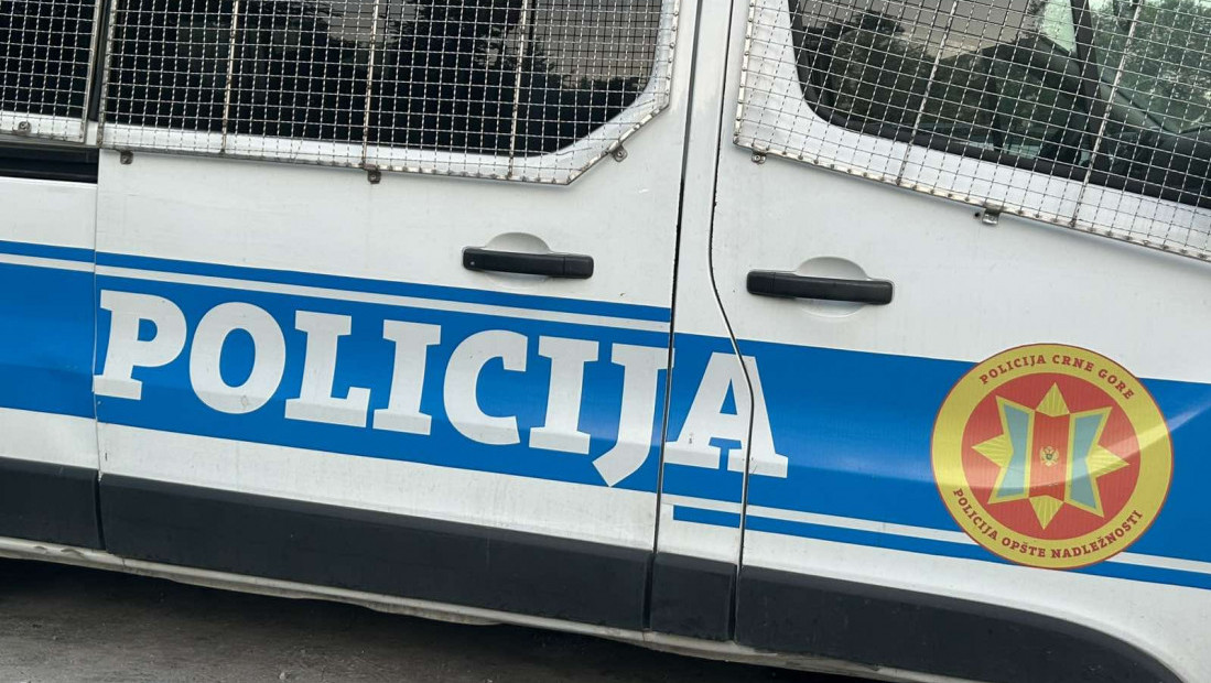 Tri tela pronađena na strelištu u Danilovgradu: Policija traga za ubicom
