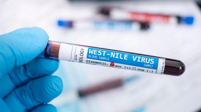 Virus Zapadnog Nila "kosi ljude" u Italiji: Broj zaraženih porastao na 226, sedmoro preminulo