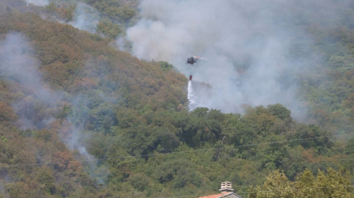Drama kod Herceg Novog: Vatra stigla do kuća, više od 50 vatrogasaca na terenu, vetar menja pravac