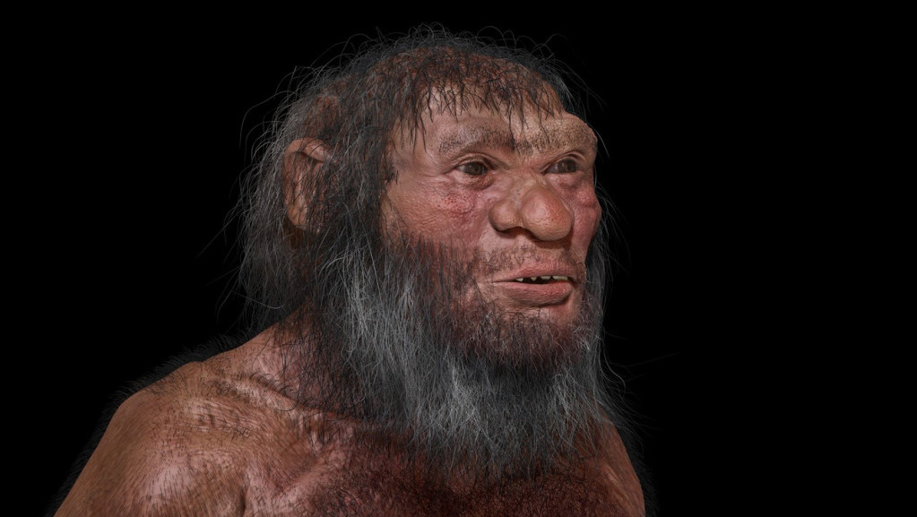 Svet su nekada naseljavali "džinovski" rođaci savremenog čoveka: Bili su viši i od neandertalaca i jeli mnogo mesa