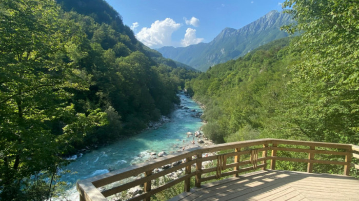 U Slovenskoj Bistrici masovan pomor ribe, kanalizacija se izlila u vodotok