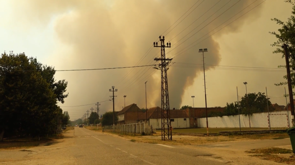 Euronews Srbija u Deliblatskoj peščari: Velika borba sa požarom i jakim vetrom, evakuisani stanovnici (VIDEO, FOTO)