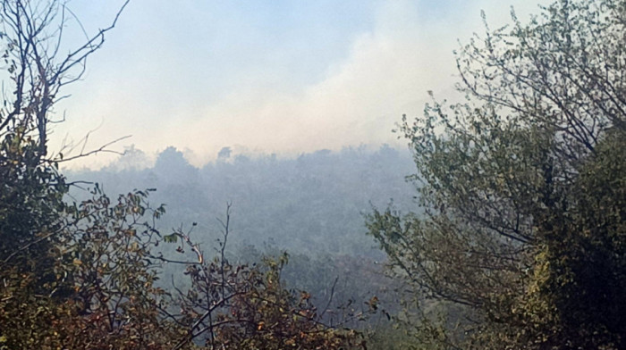 Požari kod Nikšića i Trebinja, angažovani vatrogasci, vojska i helikopter
