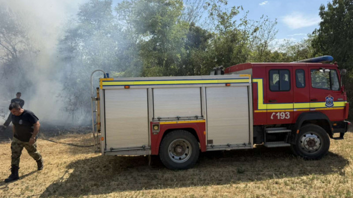 Ugašen požar na Fruškoj gori, vatra gorela skoro 20 sati