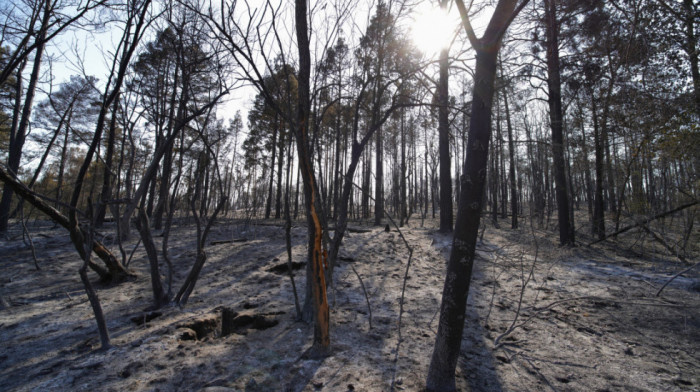 Deliblatska peščara pred potpunim gašenjem: Požar lokalizovan, 500 ljudi i 200 vozila i dalje na terenu