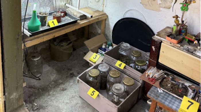 Pančevačka policija pronašla laboratoriju za uzgoj marihuane i uhapsila muškarca (FOTO)