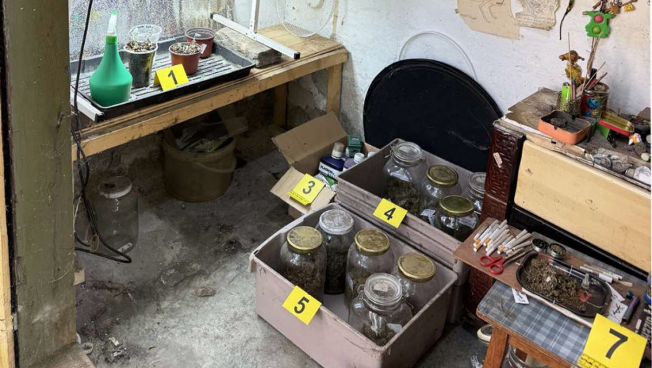 Pančevačka policija pronašla laboratoriju za uzgoj marihuane i uhapsila muškarca (FOTO)