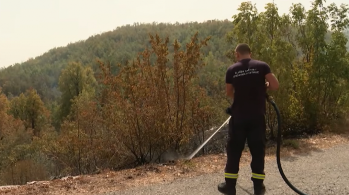 Požar na Ravnoj gori lokalizovan, vatra zahvatila oko 10 hektara makije i niskog rastinja