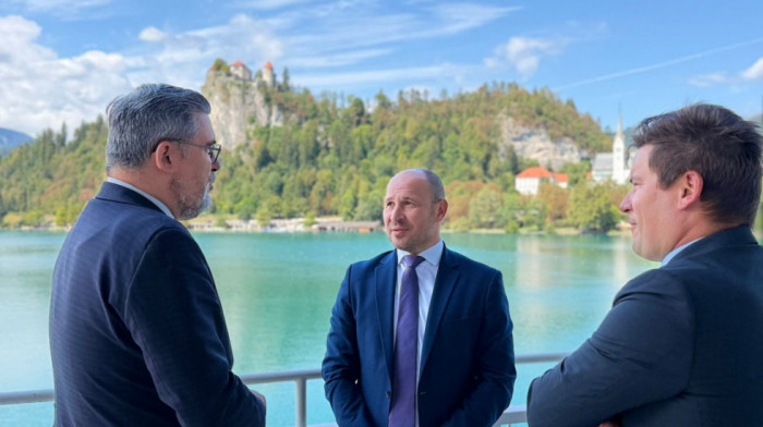 Starović na Bledu o EU integracijama Srbije: Razgovori sa zvaničnicima SAD, Slovenije i Slovačke