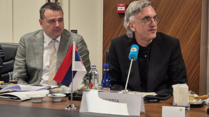 Čadež iz Istanbula: Nova pravila EU ne smeju da stvaraju ekonomske zidove Zapadnom Balkanu