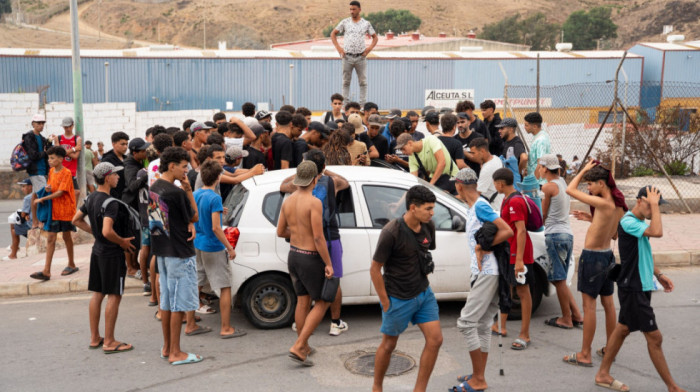 Prijavljen sumnjiv napad na mladunče delfina u delu Seute gde borave migranti