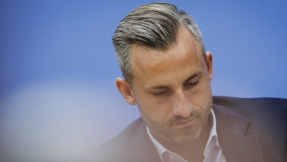 Remigracije, posebna odeljenja i "više Bizmarka": Šta piše u programu AfD-a i koja je njihova vizija za Nemačku?