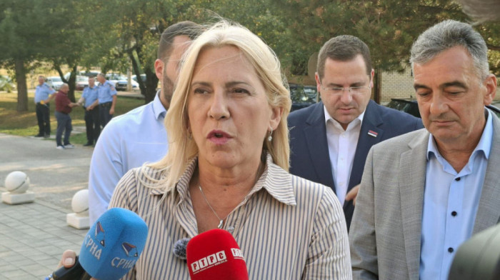 Cvijanović: Strani članovi izrazili sumnju u rad Komisije za očuvanje nacionalnih spomenika BiH i napustili je
