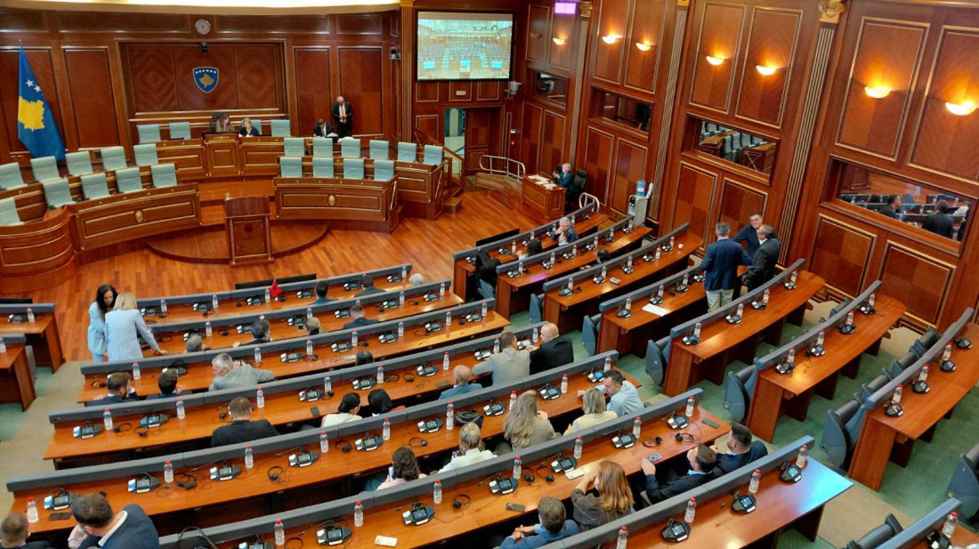 Posle osam odbijenih kandidata: Tanja Vujović iz Srpske liste izabrana za potpredsednicu