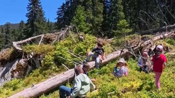 Kako preživeti u šumi, zapaliti vatru i pronaći put do sebe: Kamp "Upoznaj Kopaonik" u deci budi ljubav prema prirodi