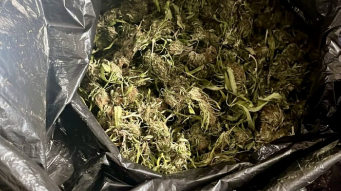 Zaplena u okolini Čačka: Policija upala u štek i pronašla kilograme droge i vagice