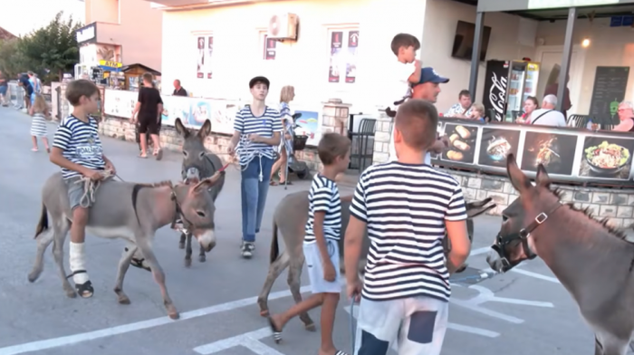 "Najtvrdoglavije" takmičenje na Jadranu: Kako je trka magaraca od "munještine" postala čuvar tradicije