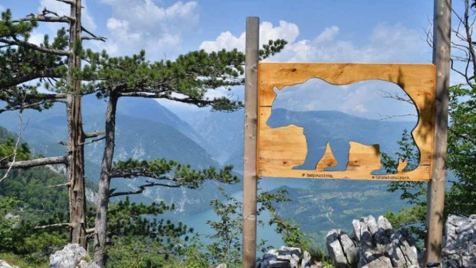 Pogled koji ostavlja bez daha: Doživljaj sa vidikovca na kome Tara spaja stene, šumu i reku Drinu (FOTO)