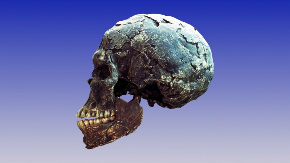 Kako je izgledao prvi Homo sapiens: Naučnici rekonstruisali lice najstarijeg poznatog čoveka