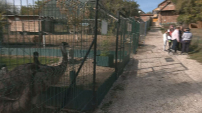 Jesenji maskenbal u Zoo-kutku u Kamenici: Mesto gde životinje pronalaze sigurnost, a najmlađi uživaju u druženju